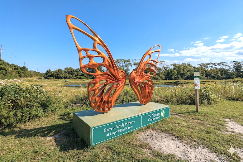Things To Do Garrett Family Reserve at Cape Island Creek